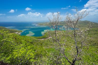 Voyage Martinique