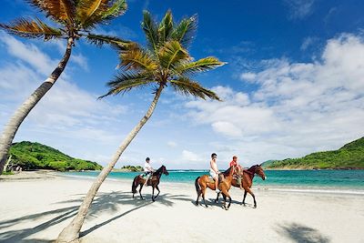 Randonnée à cheval en bord de mer - Sainte-Luce - Martinique