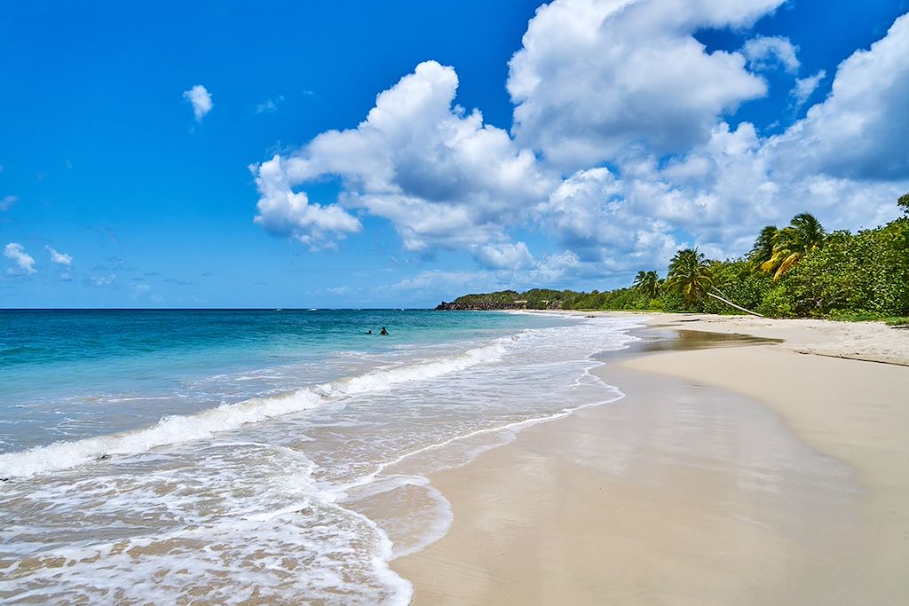 Image Randonnée Martinique