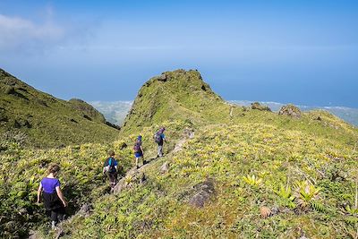 © GUIZIOU Franck / hemis.fr - La Montagne Pelée - Martinique La Montagne Pelée - Martinique