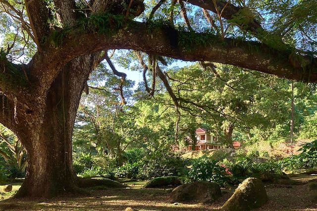 Voyage Multi-activités en Martinique