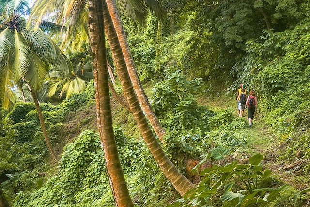 Voyage L'île de la Dominique en liberté 