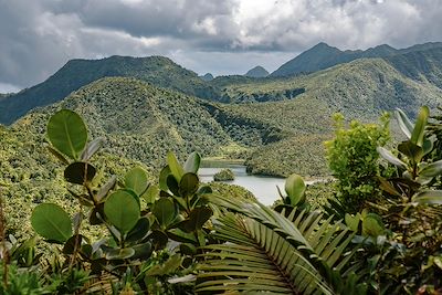 Parc national de Morne Trois Pitons - La Dominique