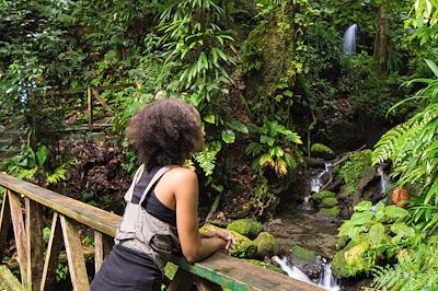 Emerald Pool - La Dominique