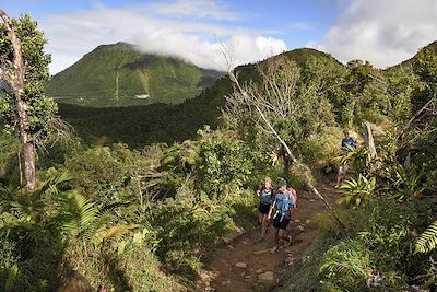 Parc national du Morne Trois Pitons - La Dominique