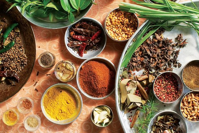 Voyage Maurice, entre terre et lagon