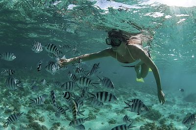 Ile Rodrigues - Iles Maurice