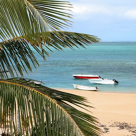 Rodrigues, nature sauvage et aventure créole