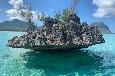 Ile aux Bénitiers - Ile Maurice 