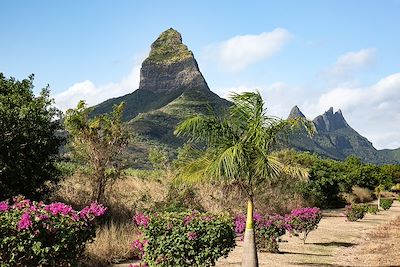 Montagne du Rempart - Tamarin - Ile Maurice
