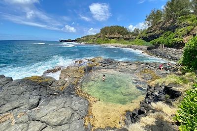 Le sud sauvage de l'île Maurice
