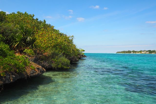 Image Découverte de l'île Maurice au fil de l'eau
