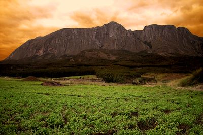 Le Mont Mulanje - Malawi