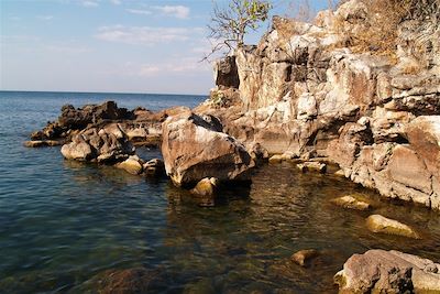 Lezard Island sur le Lac Malawi