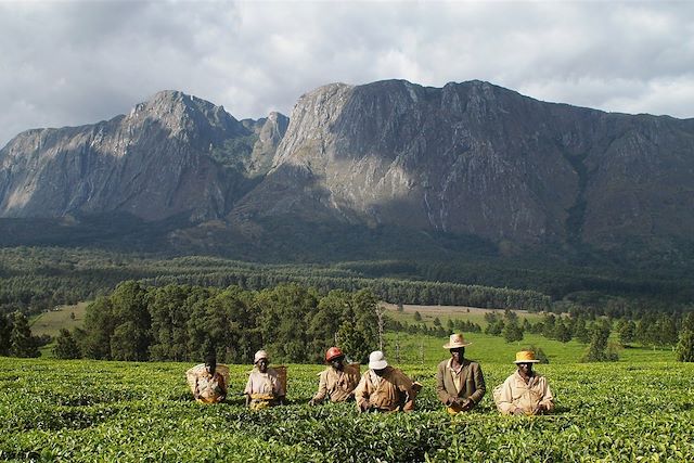 Voyage Malawi & Zambie, Eden africain