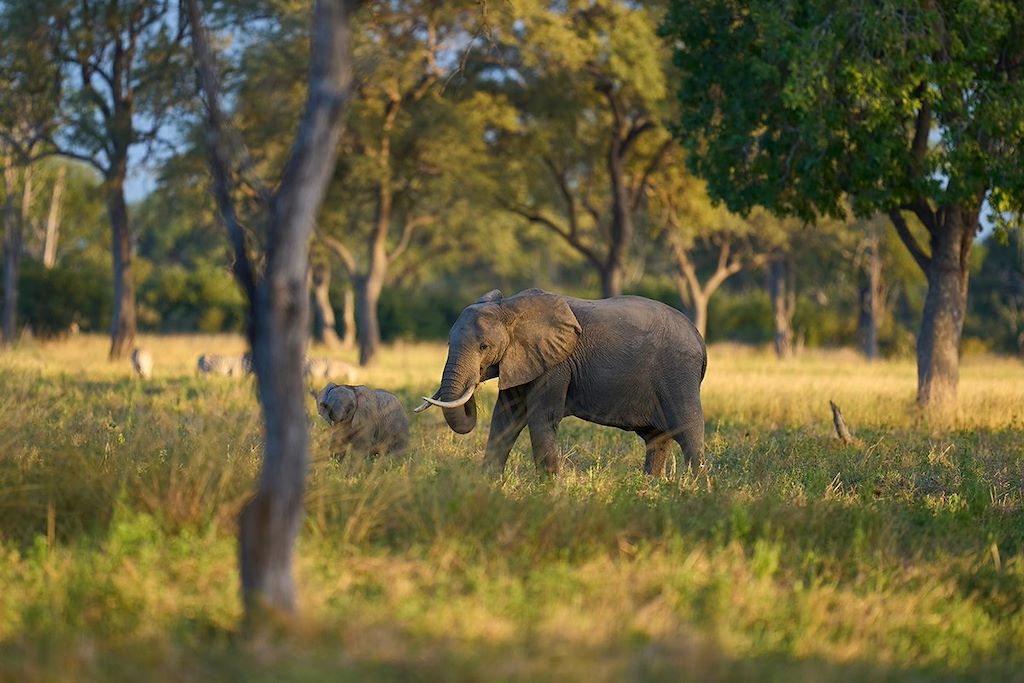 Image Safari Zambie - Randonnée Zomba - Kayak lac Malawi