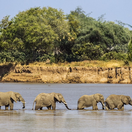 Safari Malawi