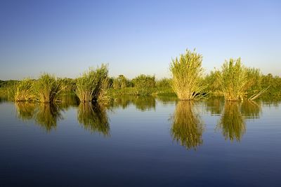 Voyage Malawi et Zambie, édens africains 2