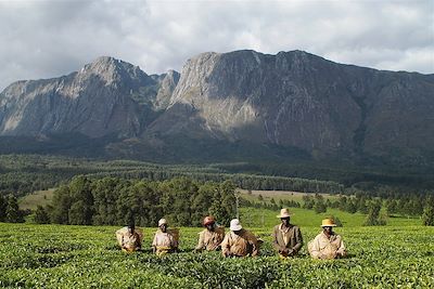 Voyage Malawi et Zambie, édens africains 1