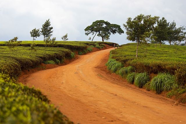 Voyage Malawi et Zambie, édens africains