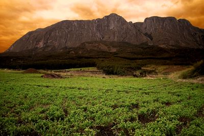 Le Mont Mulanje - Malawi