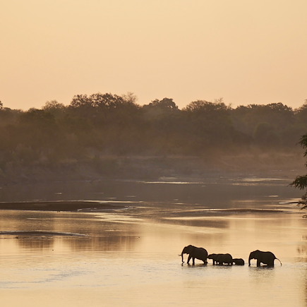 Safari Malawi