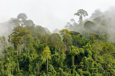 Voyage Contrastes malais, de Penang à Bornéo 3