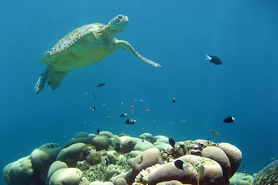 Voyage Contrastes malais, de Penang à Bornéo 2