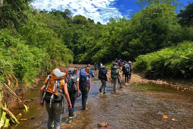 Voyage à pied : Immersion dans la jungle de Bornéo