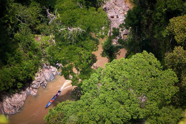 Rivière Sapulot - Borneo - Malaisie