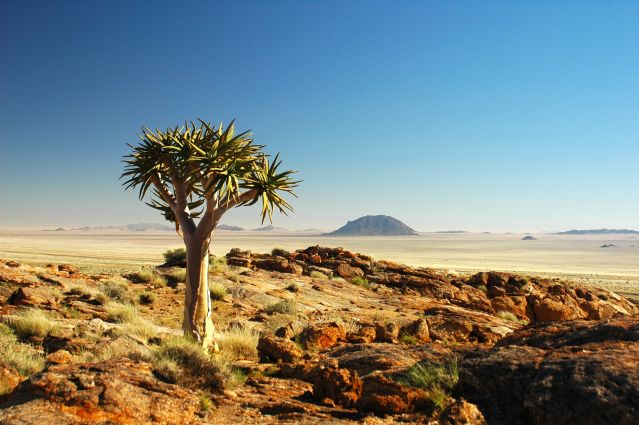 Voyage avec des animaux : Montagnes et désert de Namibie