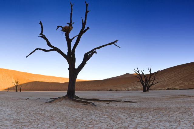 Image Splendeurs de Namibie
