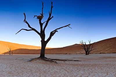 Sossusvlei - Namib Central - Namibie