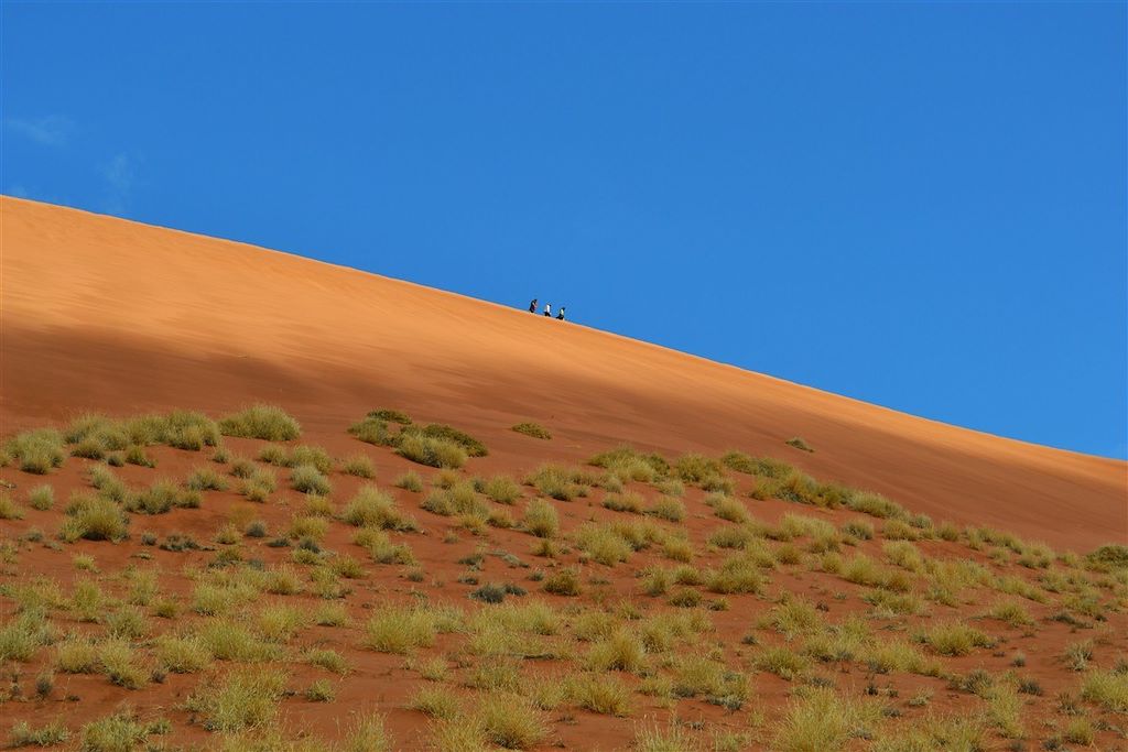 Voyage Splendeurs de Namibie 1