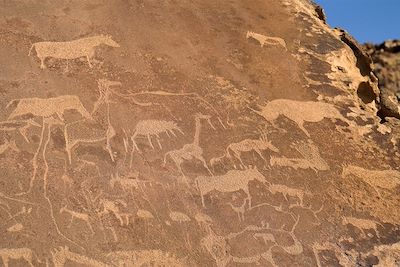 Doro Nawas - Twyfelfontein - Damaraland - Namibie