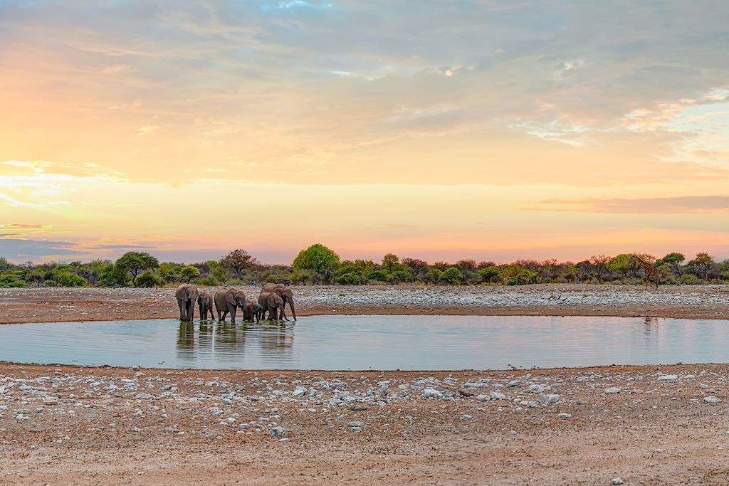 Image Road trip en Namibie - 4x4 tente namibie - Safari Etosha