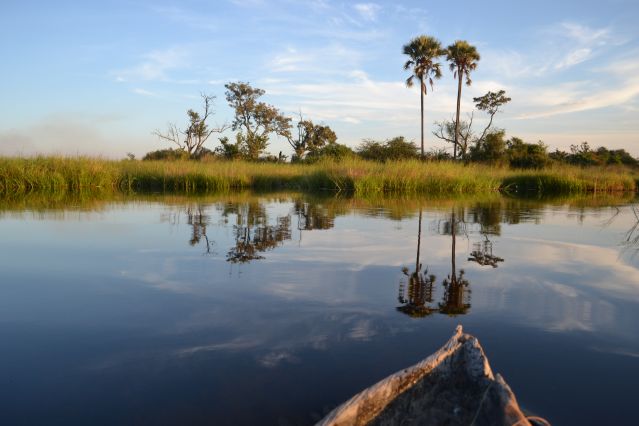 Delta de l Okavango - Botswana