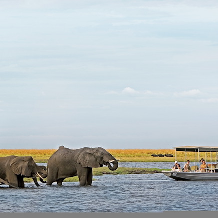 Safari Namibie