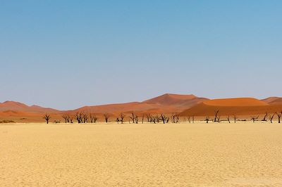 Dead Vlei - Namibie