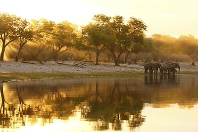 Nambwa Tented Lodge - Kongola - Namibie