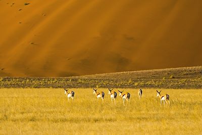 Little Kulala Lodge - Sesriem - Namibie