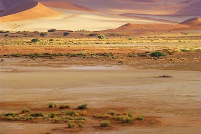Le désert de Sossusvlei - Namibie