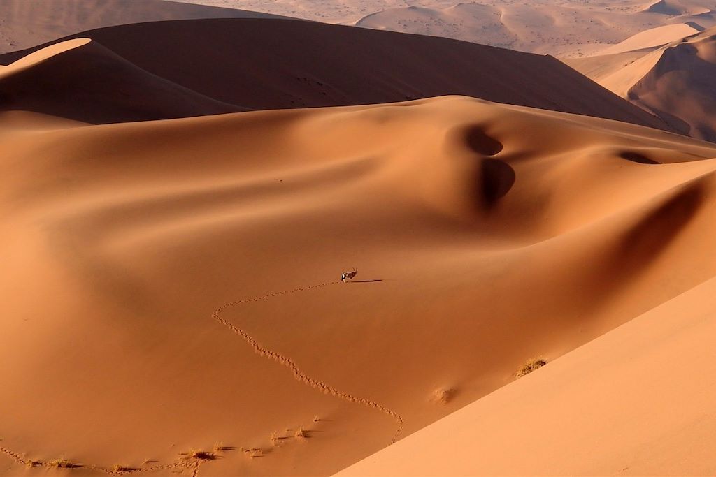 Voyage La Namibie à votre rythme