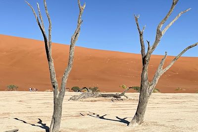 © Agathe Pigeaud - Dead Vlei - Désert du Namib - Namibie Dead Vlei - Désert du Namib - Namibie