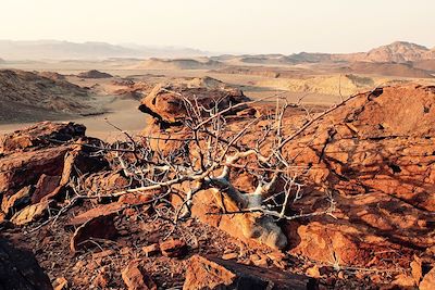 © Ingrid Bérard Laporte - Trek Damaraland - Namibie Trek Damaraland - Namibie