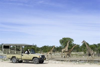 Parc national d'Etosha - Nambie