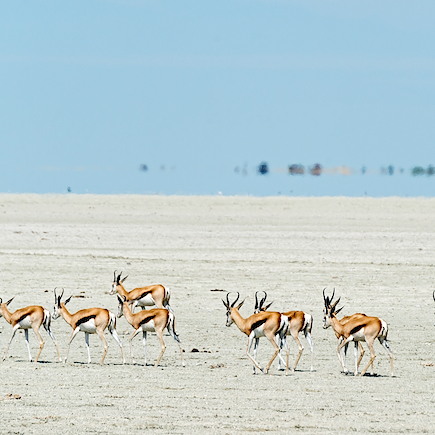 Autotour Namibie Damaraland