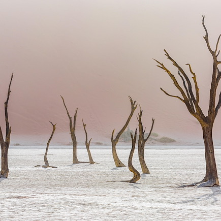 Autotour Namibie Damaraland