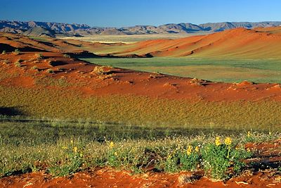 Voyage L'intégral de la Namibie 3