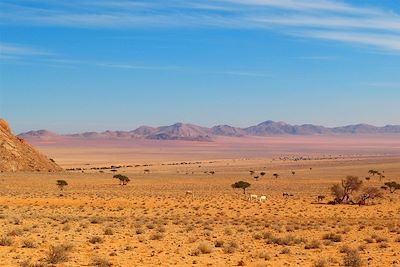 © Luce Piton - Green fyer - Namibie Green fyer - Namibie